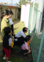 ������������߂�Ƒ�����